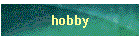 hobby